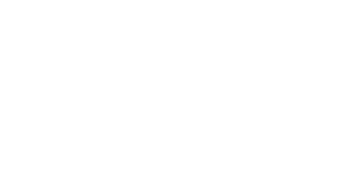 Absorción avanzada