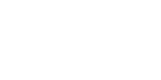 Absorción Moderada