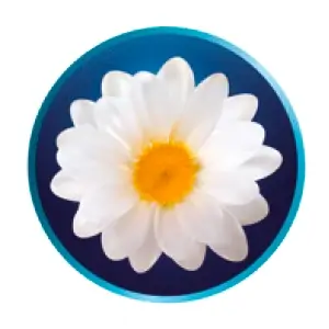 Icono Suave Aroma